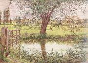 William Bell Scott Landscape with a Gate and Watermeadow (mk46) oil painting on canvas